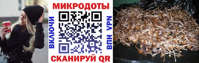 Купить  Балабаново  Галлюциногенные грибы GOLDEN TEACHER 