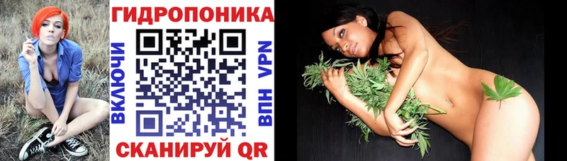 Бошки Шишки Bruce Banner  Купить закладки  Балабаново 
